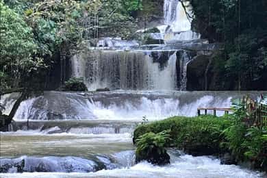 Jamaica: Excursão de 1 dia às Cataratas YS e Safari em Black River