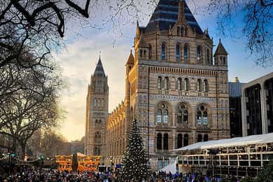 Discover Fossils & Gems at Natural History Museum