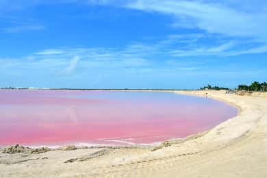 Rio Lagartos : Merveilleuses eaux roses et tour en bateau