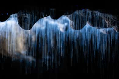 WAITOMO GLOWWORM & RUAKURI CAVES - PRYWATNA WYCIECZKA Z AUCKLAND