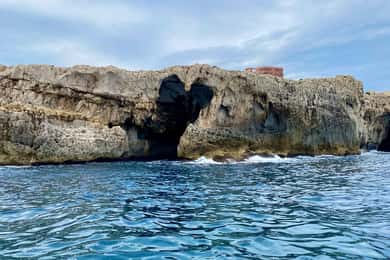 Syracuse: Boat tour Ortigia island,seacaves and Explanations