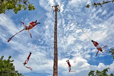 Vanuit Veracruz: Tajin & Papantla sightseeingtour