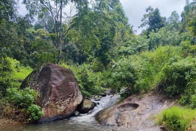 Ella: Guided Day Tour with Tea Estate Visit