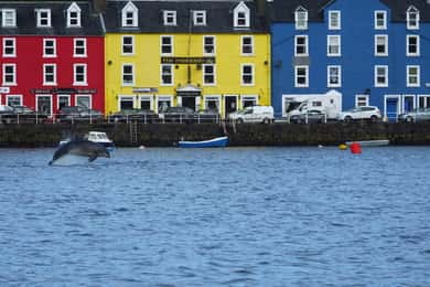 Isle of Mull: Guided Coastal Walk to Tobermory Lighthouse