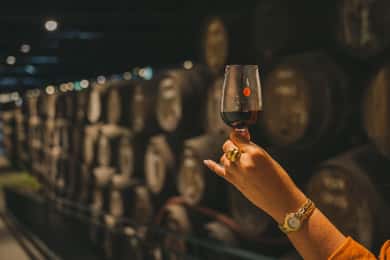 Porto : visite des caves Taylor's et du musée WOW