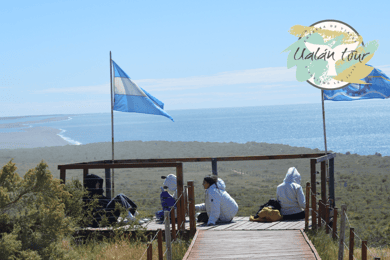Peninsula Valdes: Shore excursion for cruise passengers