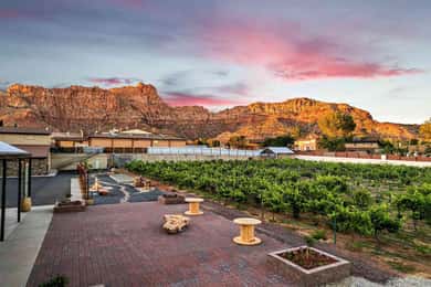 Greater Zion: UTV Ride and Wine Tasting Tour
