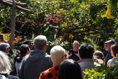 Au départ de Rome : excursion d'une journée à Sorrente et Pompéi avec guide ou billet