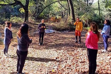Cagliari: forest bathing at Sette Fratelli Park