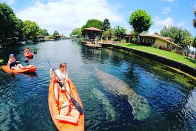 Crystal River: Kayak Rental