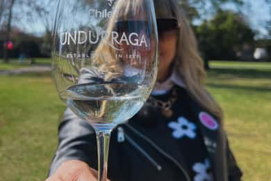 Santiago: Undurraga vingårdstur med inträde och vinprovning