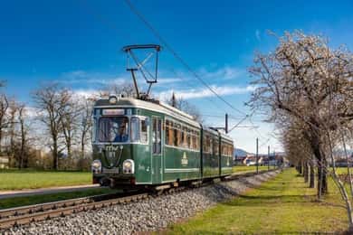 Mannheim: City tour with the historic streetcar