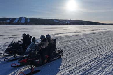 Husky-Fahrt, Schneemobil, Ausflug nach Ranua und Nordlichter