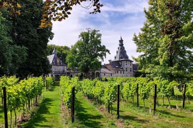 Bioul (near Dinant) : Château de Bioul Tour and Wine Tasting
