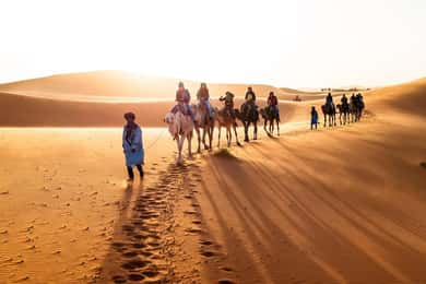 6 dages eventyr fra Marrakech til Chefchaouen via Merzouga