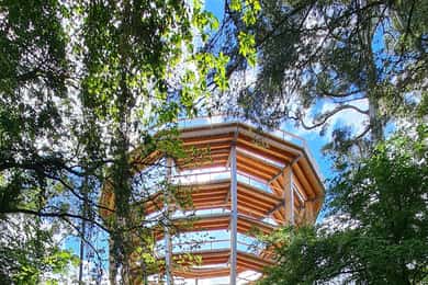 Beyond the Trees Treetop Walk & Tower Entrébillet