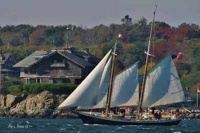 Newport: Morning Mimosa Sail aboard Schooner Aquidneck