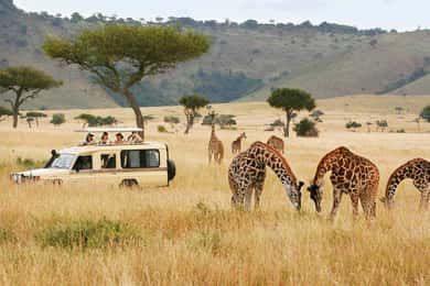 7 Days Mount Meru Climb and Safari
