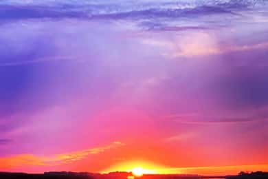 Charleston, SC: Folly Beach Private Sunset & Dolphin Cruise