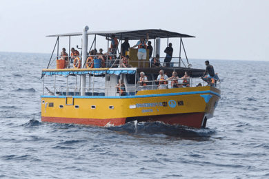 Båttur med all inclusive till Mirissa för val- och delfinskådning