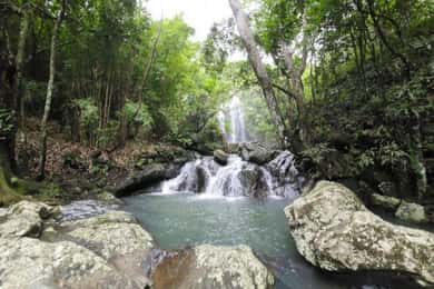 Nadi: Waterfall Tour Adventure with Refreshments and Lunch