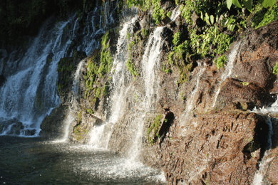 Rota das flores: 7 cachoeiras e chorros de la calera