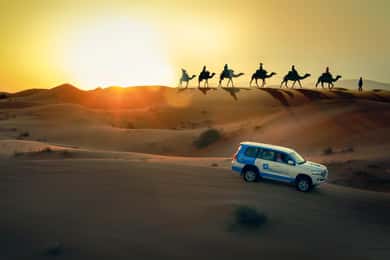 Doha: Sunset Desert Safari, ATV, Camel Ride and Sandboarding
