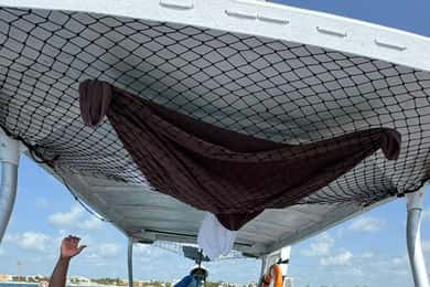 Cancun : Visite privée de Puerto Morelos (mer et jungle)