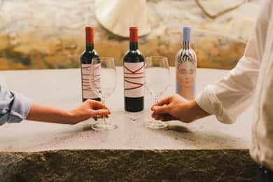 Colchagua: VIK and Montes Winery Luxury Experience