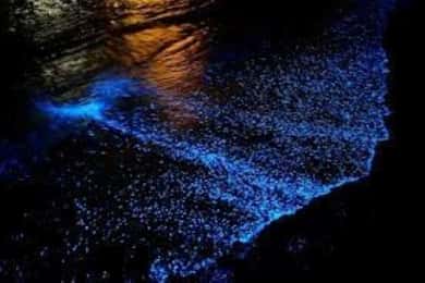 Cat Ba : Lan Ha Bay Bioluminescent Plankton Kayak Boat Tour