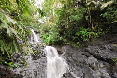 Bali: Sidemen Waterfall tour and temple purification
