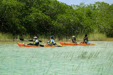 Tulum: Sian Ka'an Biosphere Reserve Kayak Tour