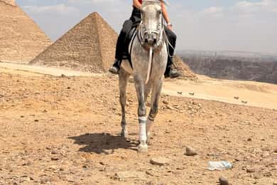 El Cairo: excursión a caballo por las pirámides de Giza