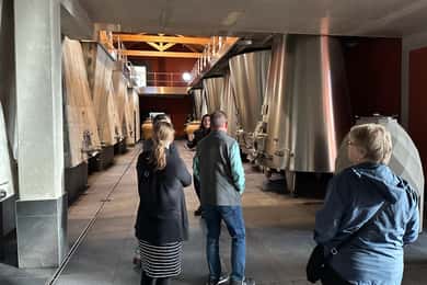 Bordeaux: Medoc-tur i en liten gruppe (Luksus Mercedes EQV)