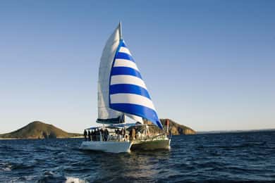 Nelson Bay: Dolphin Watch Cruise and Sail