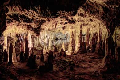 Mallorca: Halvdagsutflykt till Cuevas dels Hams med besök i pärlbutik