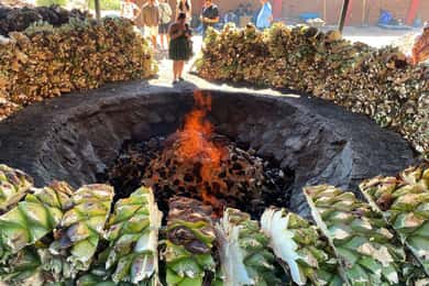 Ruta del Mezcal Oaxaca