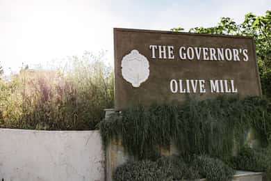Corfu: Olijfolie ervaring - De Gouverneur's Olijfmolen