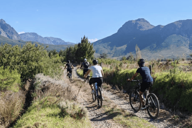Franschhoek: E-Bike & Wine Tour (Shared Tour)