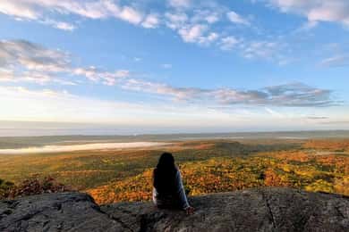 Robertson Cliffs: Where Falcons Fly Guided Hike