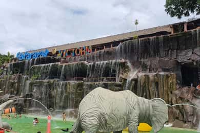 Medellin: Visita a Hacienda Napoles+Passaporte Safari Premium VIP