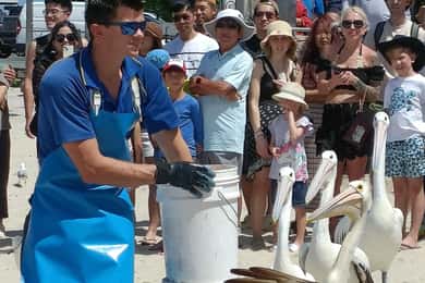 Gold Coast Surfers Paradise Private Tour from Brisbane