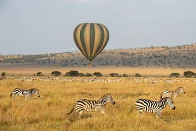 Serengeti: Heißluftballon-Safari mit Frühstück und Champagner