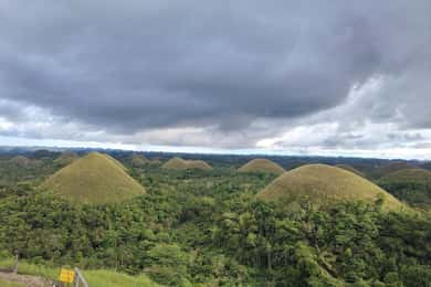 BOHOL: Chocolate Hills, Tarsiers and Loboc River Day Tour