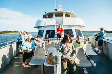 Cape May: Sonnenuntergangsfahrt zur Insel Cape May und Delfinbeobachtung