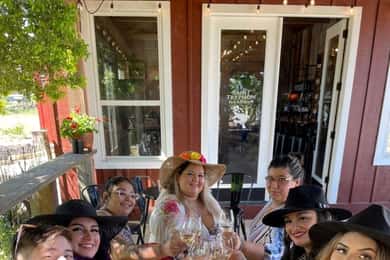 Сан-Антоніо: винний тур по Хілл-Кантрі та відвідування Фредеріксбурга