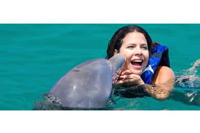 Punta Cana: Dolphin Explorer Park Entry, Swim, or Encounter