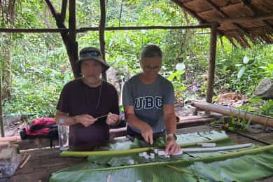Chiang Rai: 1 day only walk and lunch with bamboo cook