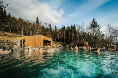 Hamn Akureyri: Godafoss vattenfall, Laufas & Forest Lagoon
