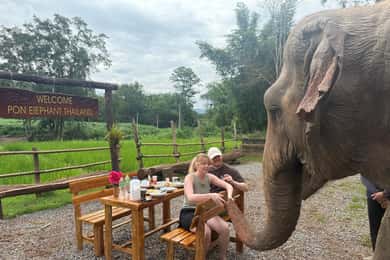 Chiang Mai 2-Day: Good Morning Elephant & Overnight Homestay